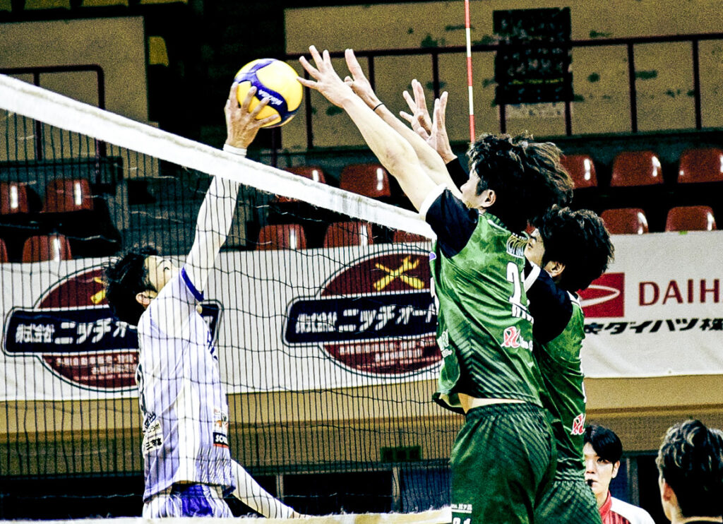 ギャラリー画像9枚目